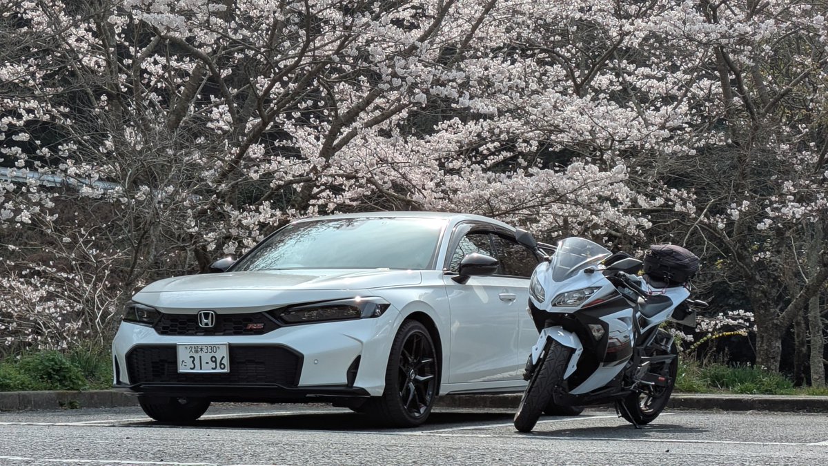 言乃葉まにょん tweet media