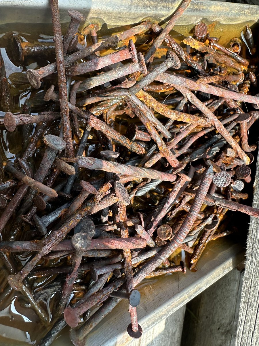 いかなごの釘煮
これは、一部地域しか作らないとかどうとか。錆びた釘ににてるとか…
フカミさん<a href="/daisukefukami33/">どん底からの事業再生録|冨賀見 大維</a> あってますか？
