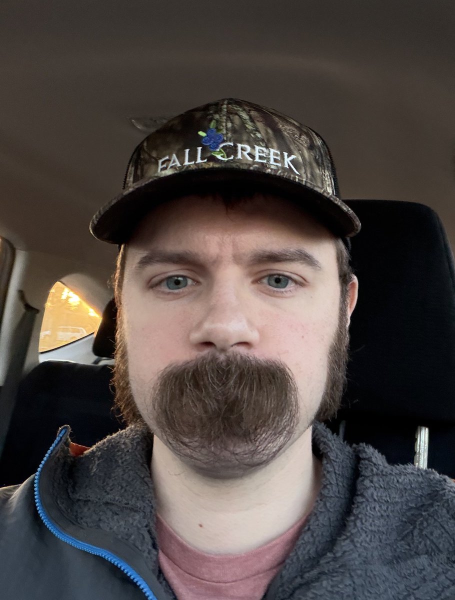 Druidish tweet media