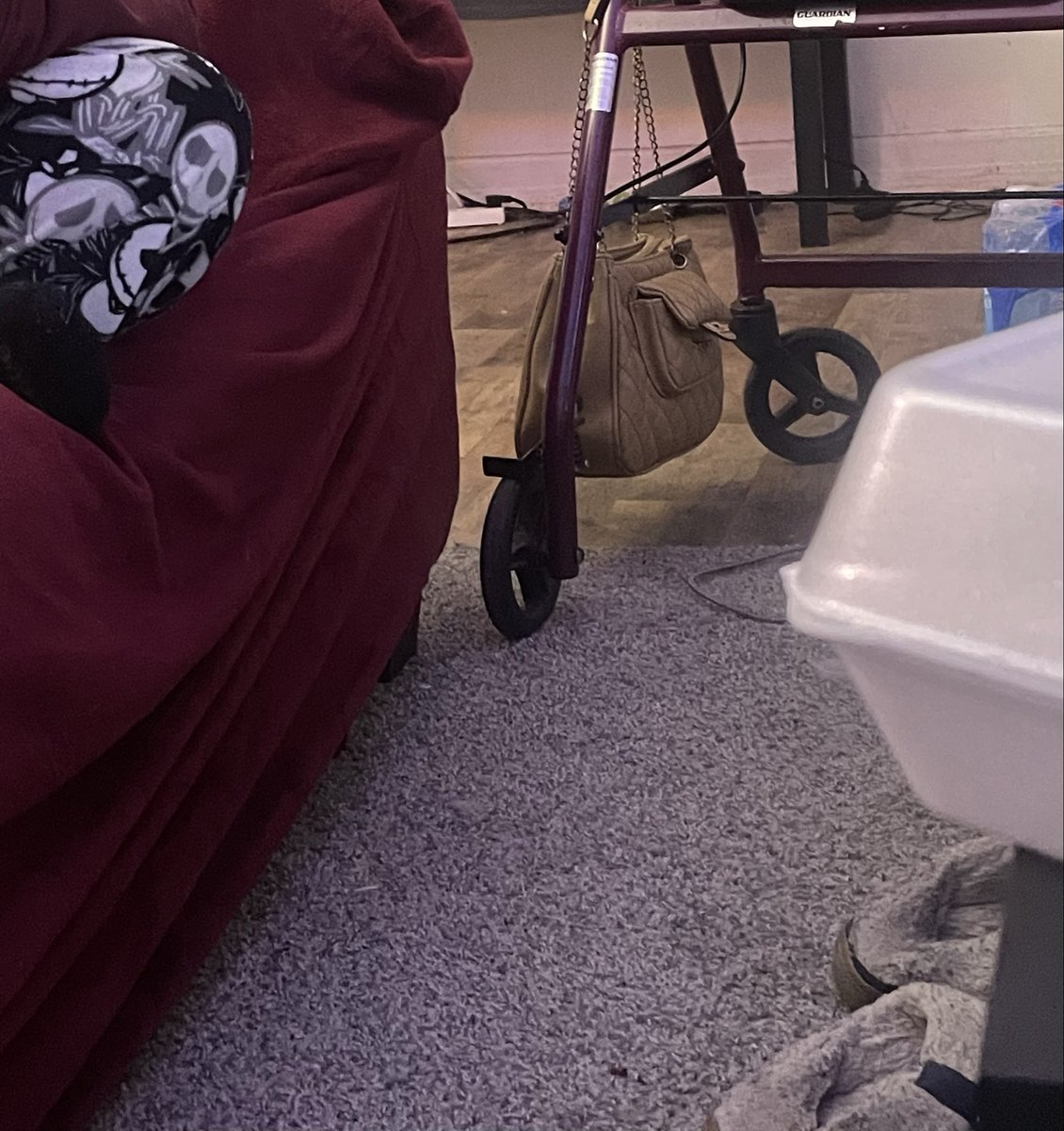 𝔩𝔦𝔷✩‧₊˚ tweet media