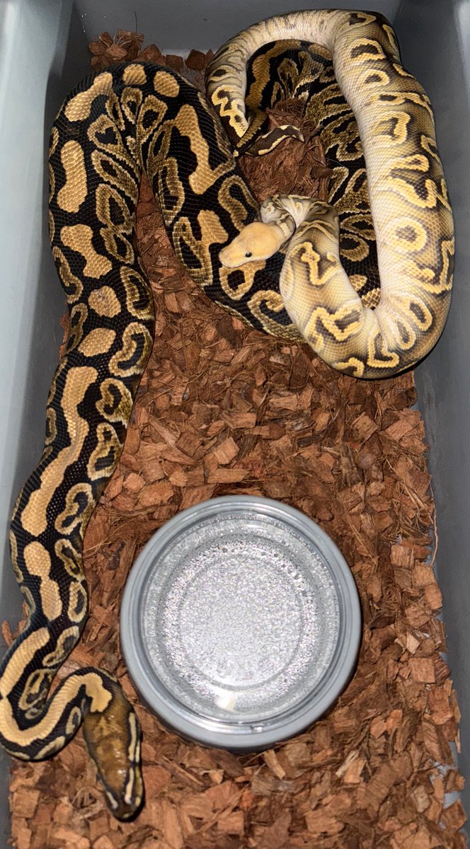 Fabulous_Park tweet media