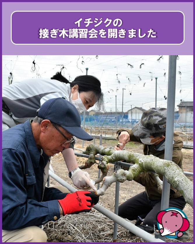 JAあいち中央（あいち中央農業協同組合） tweet media