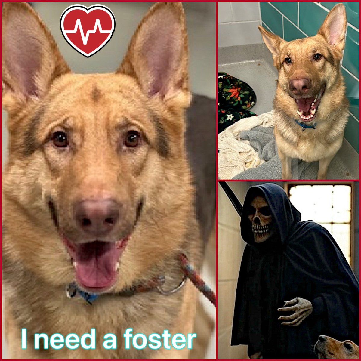 Malimum 🇩🇪 tweet media