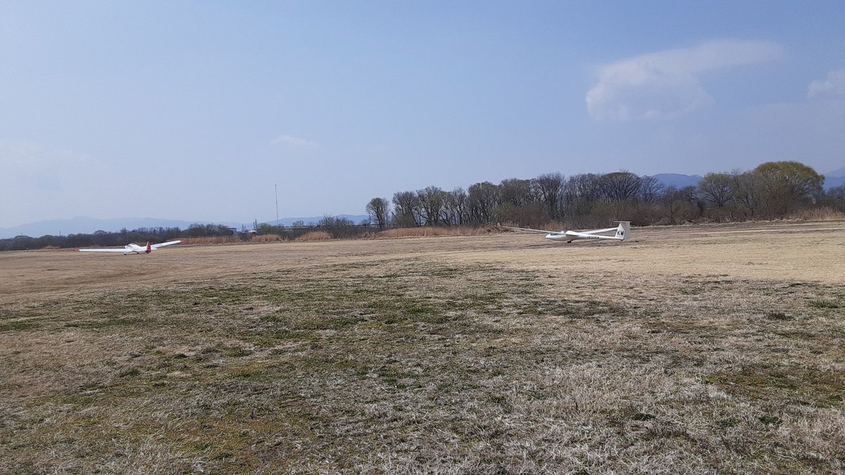 そらのムタ tweet media