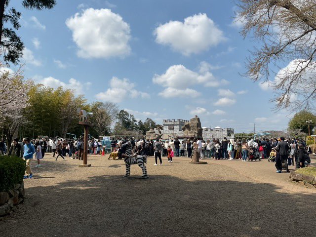 市川市動植物園（公式） tweet media