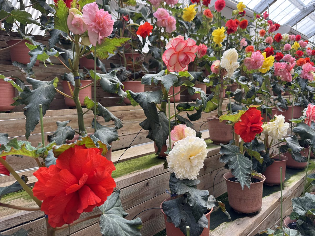 たんたろ☆彡@埼魂&東北人！青ポチ付きました👍 tweet media