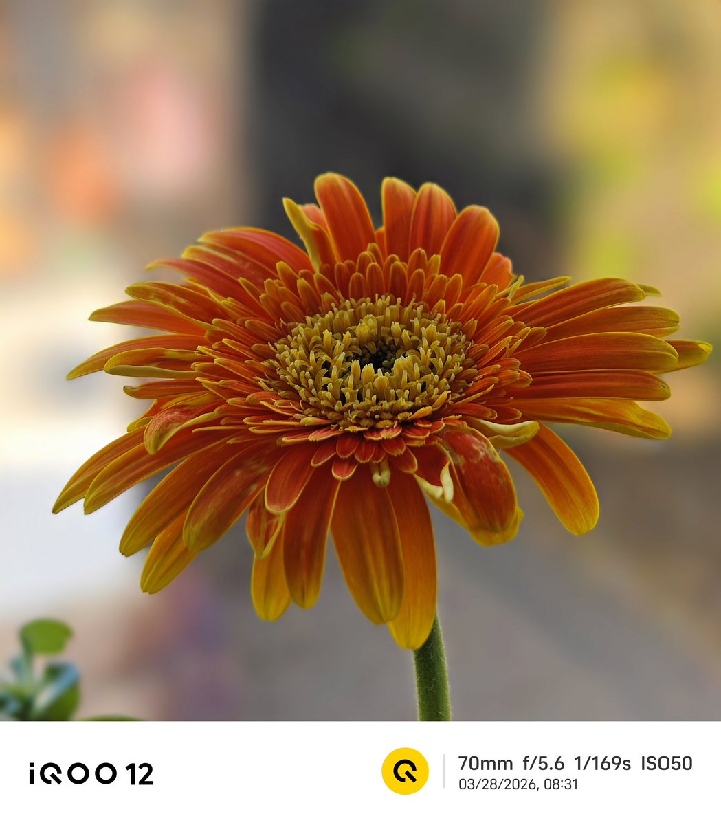 Andybitts tweet media