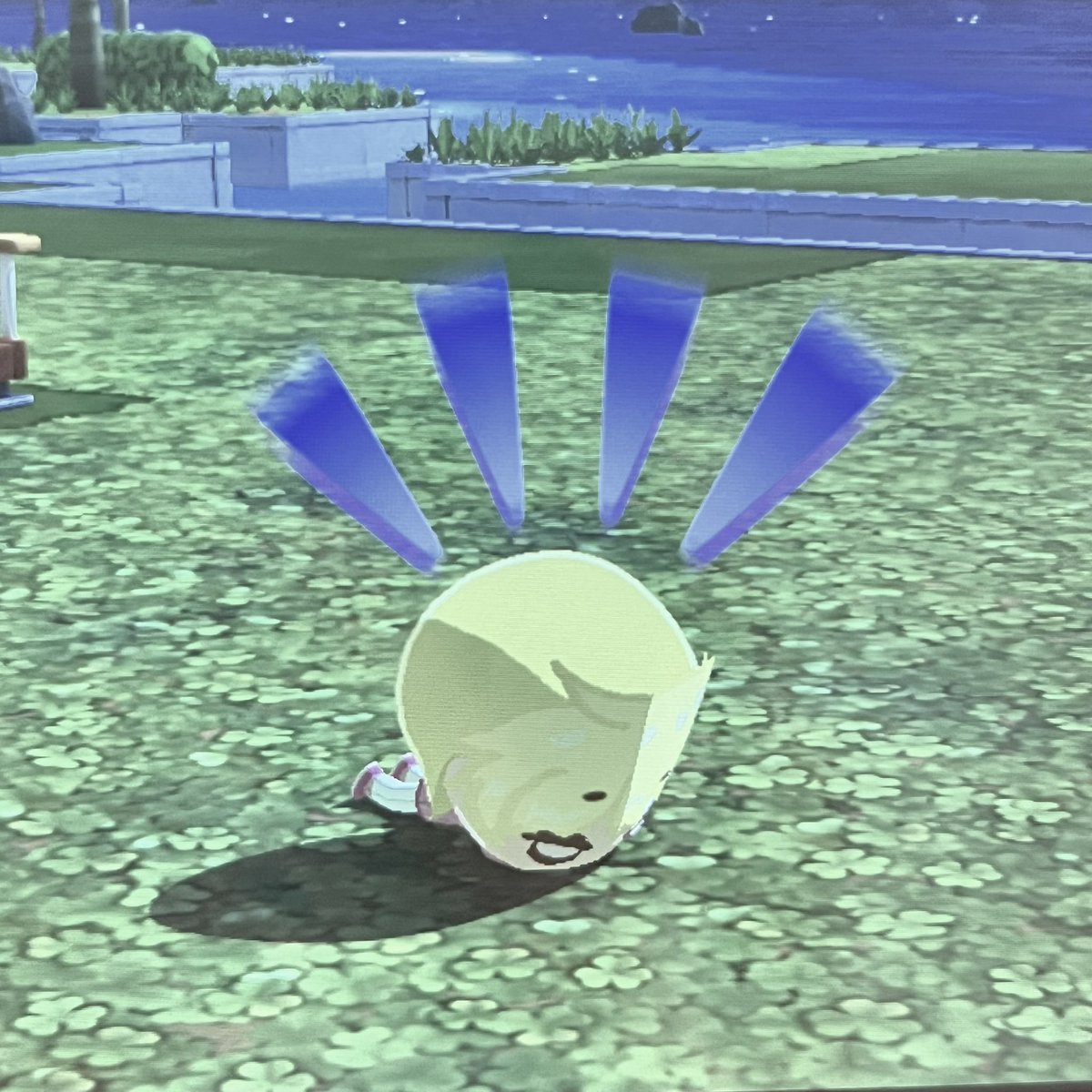 lulu ♪ tweet media