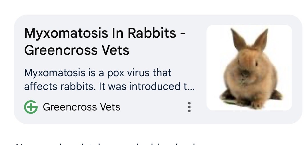 Gary McNamara tweet media