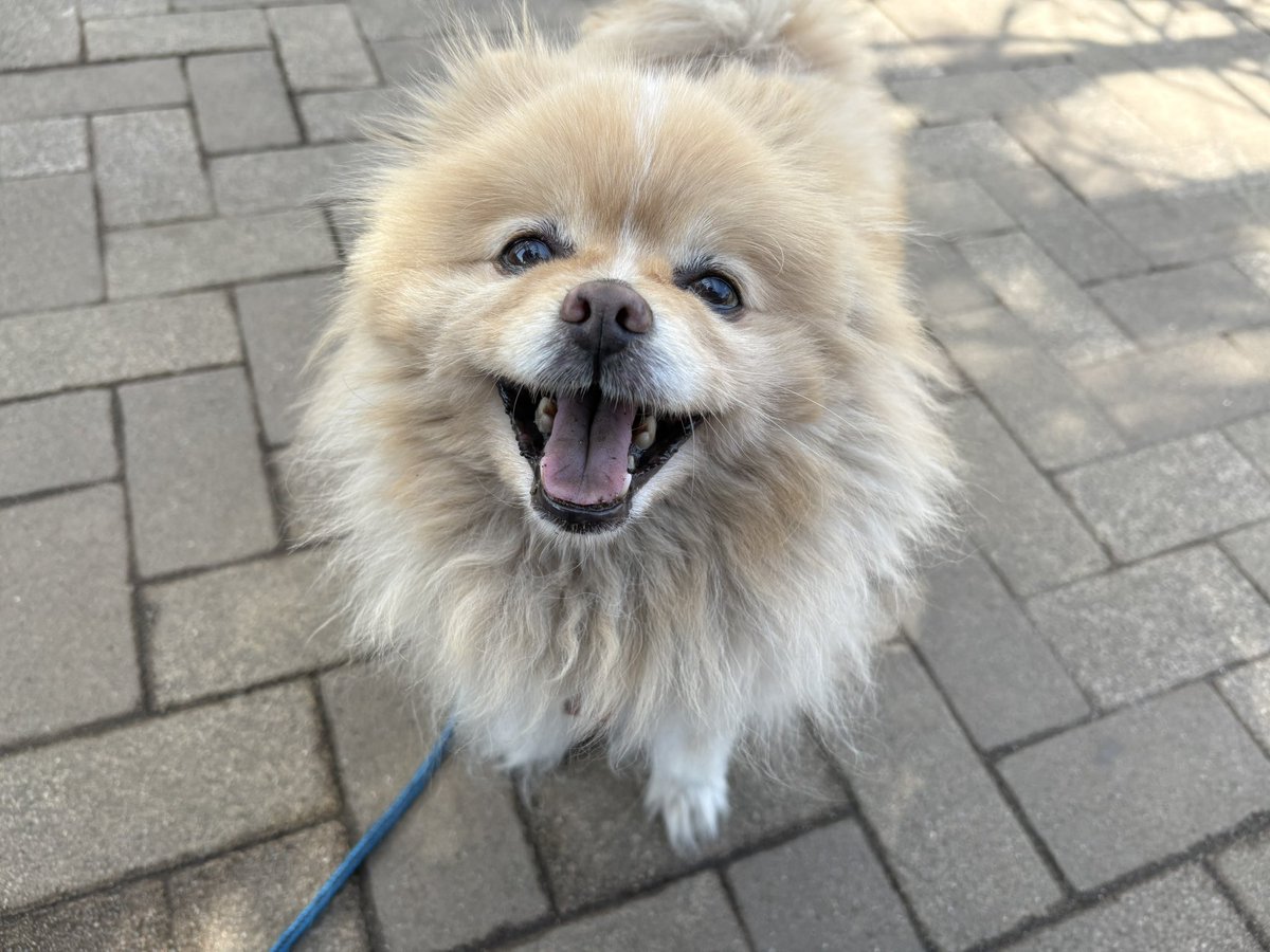 ∞ジェイク∞ tweet media