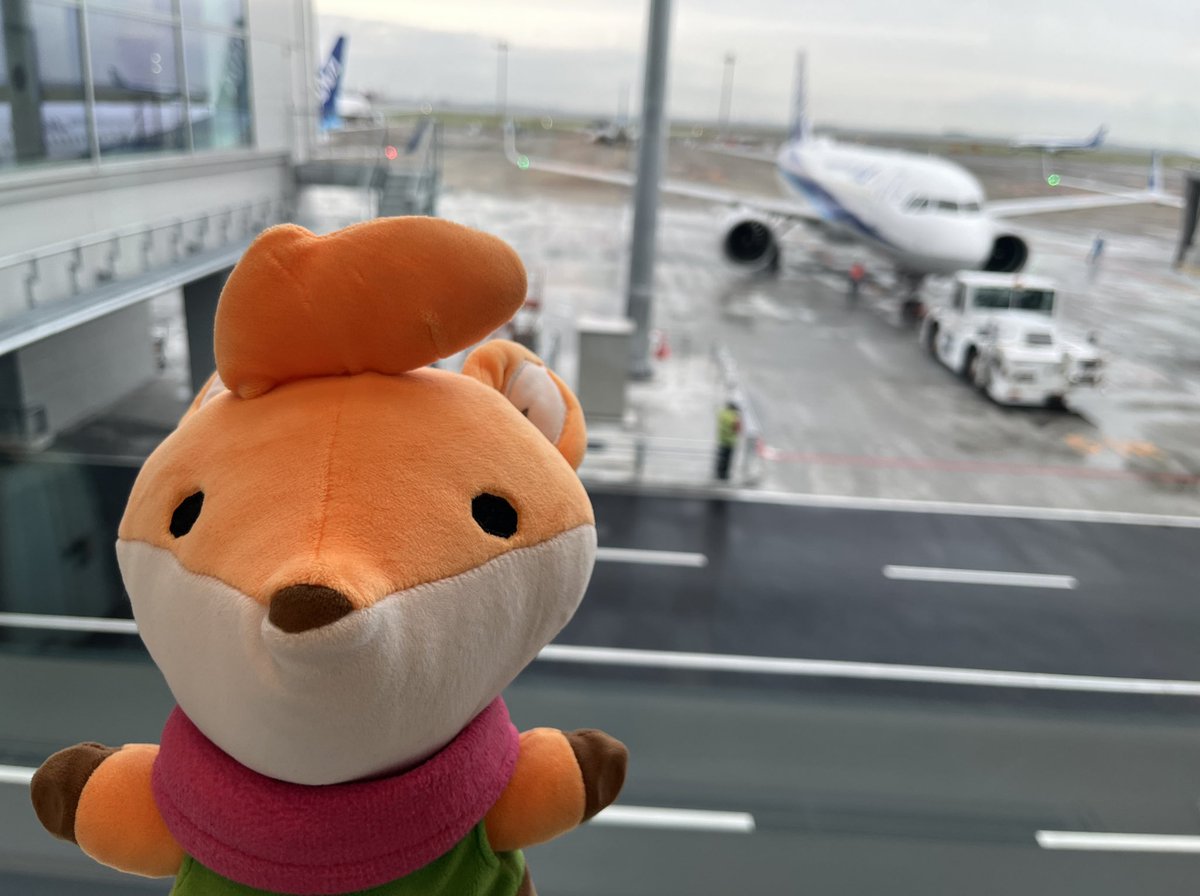 Tunic_san tweet media