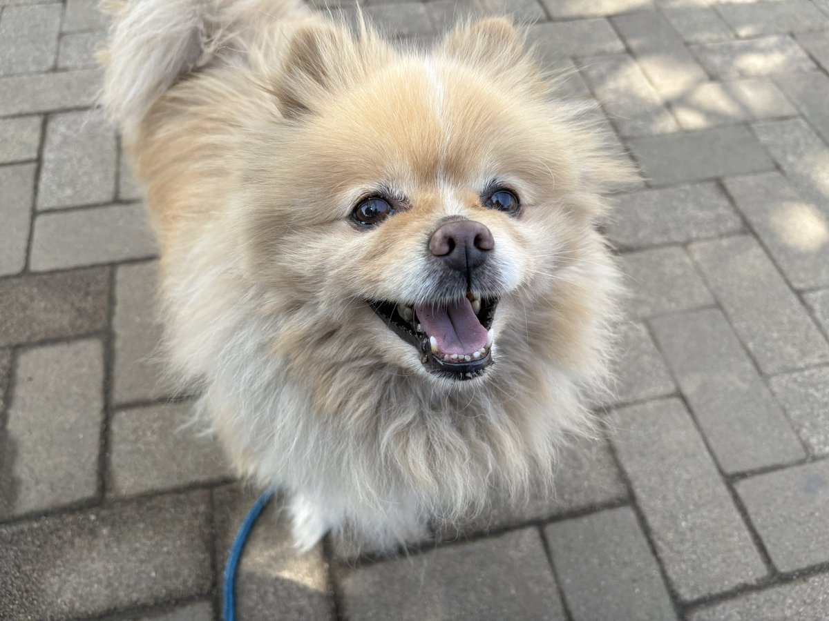 ∞ジェイク∞ tweet media