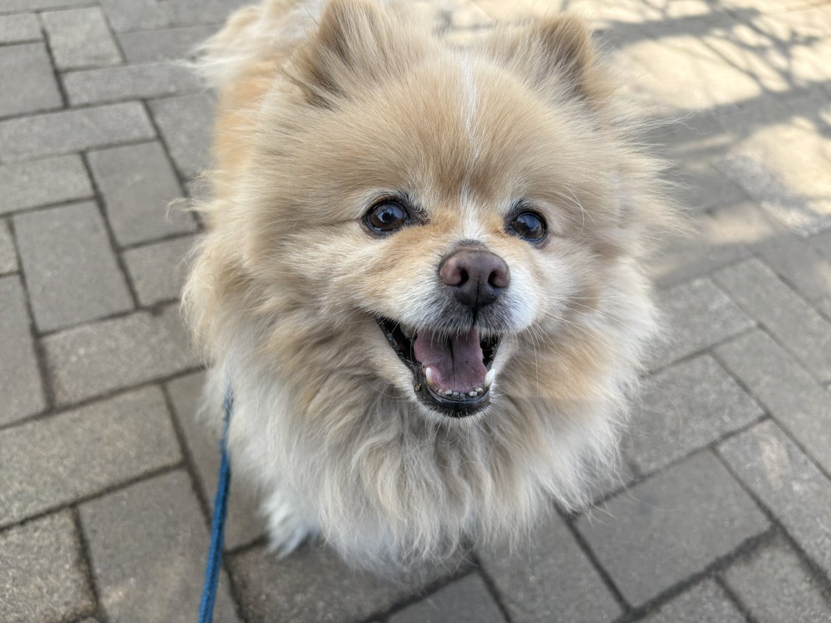 ∞ジェイク∞ tweet media