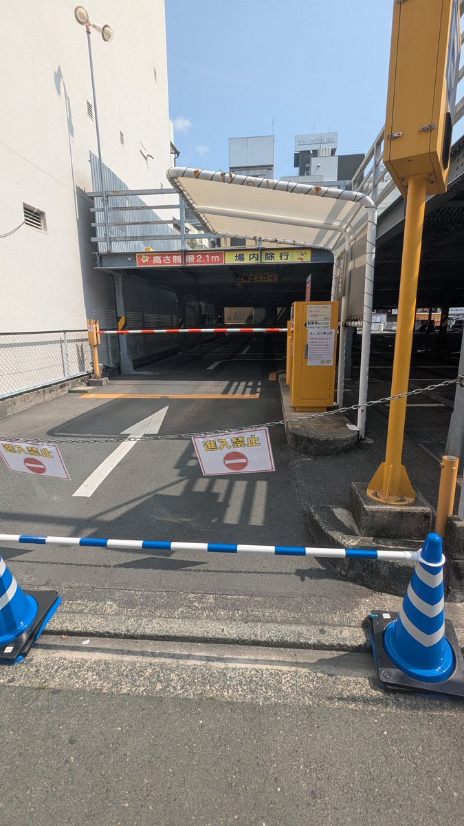 シュガー|🌸🕊🥚 tweet media