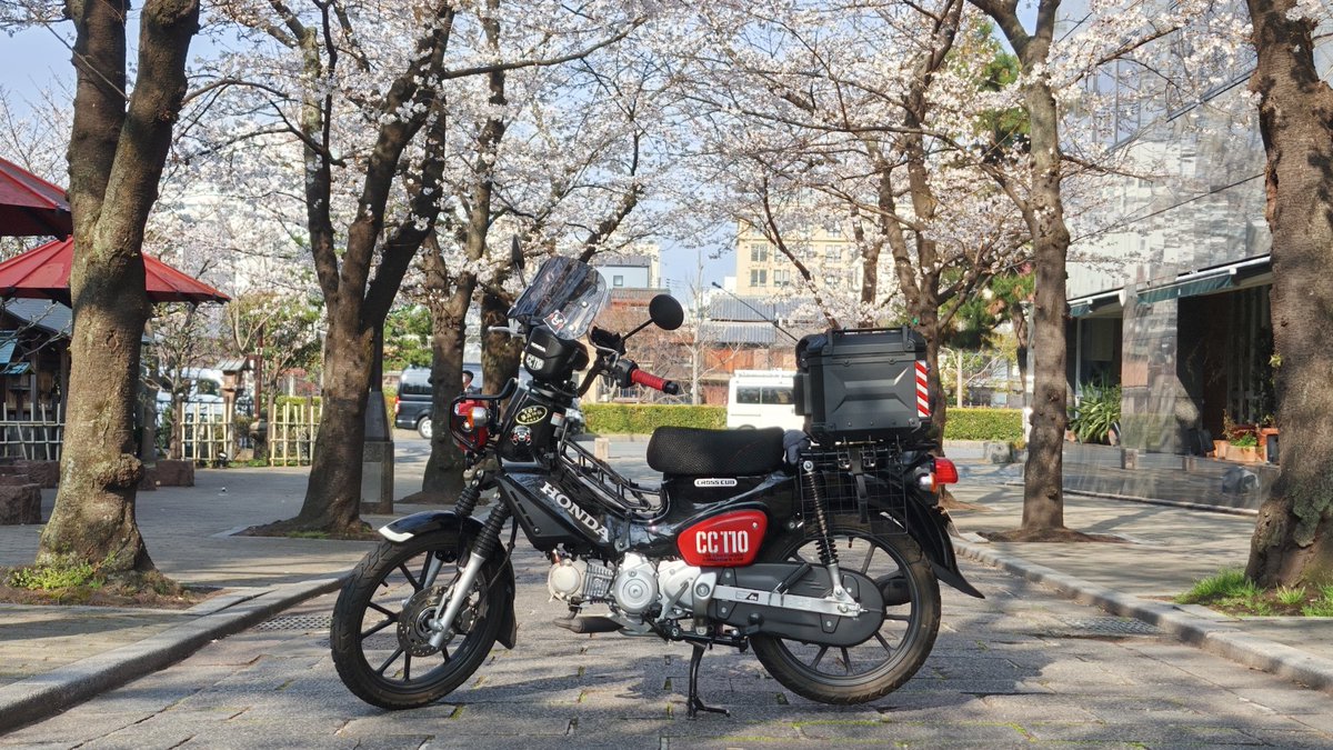 馬走日 tweet media