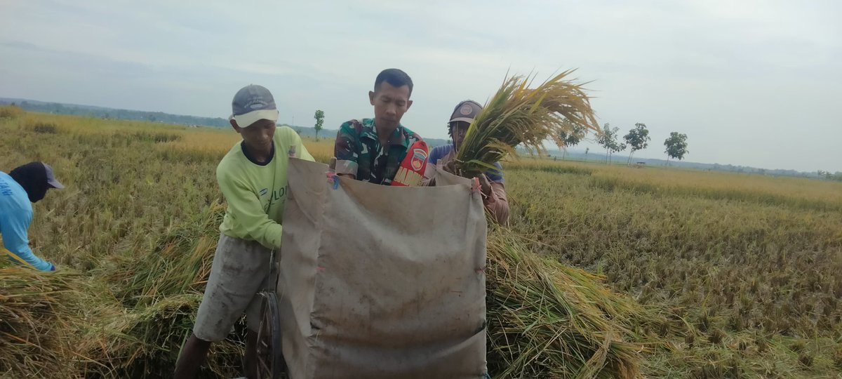 koramil08kedungtuban tweet media
