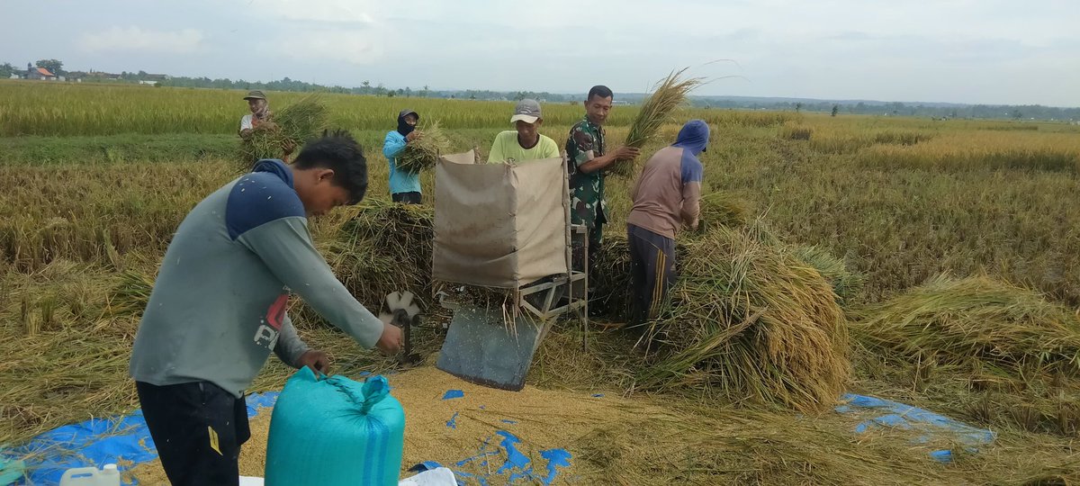 koramil08kedungtuban tweet media