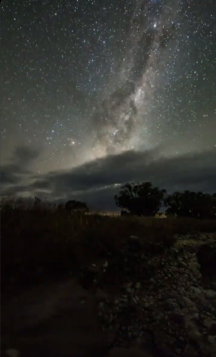 This Animal Made My Day tweet media