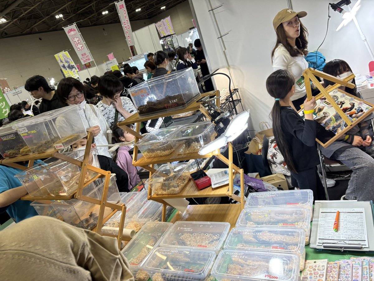 海無し県の小さな繁殖場 tweet media