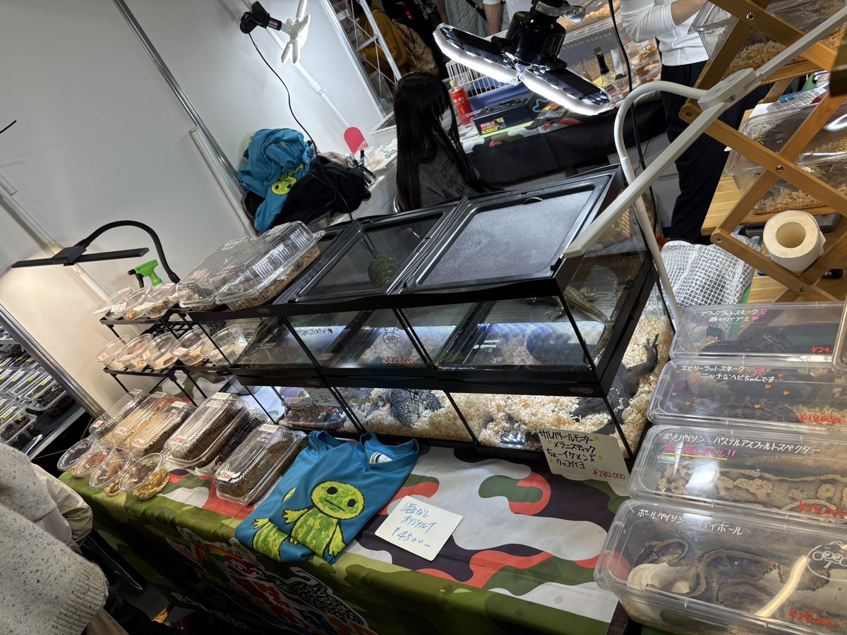 海無し県の小さな繁殖場 tweet media