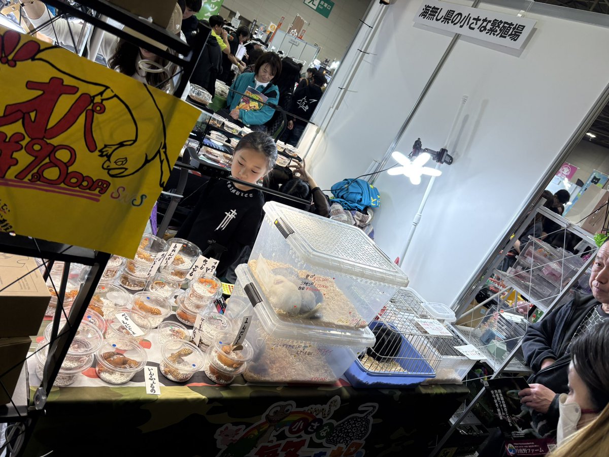 海無し県の小さな繁殖場 tweet media