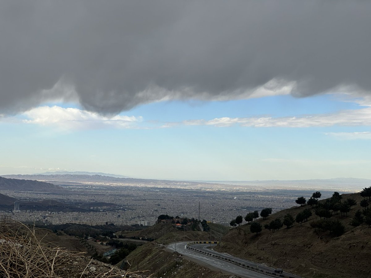 سیّدعلی دوم tweet media