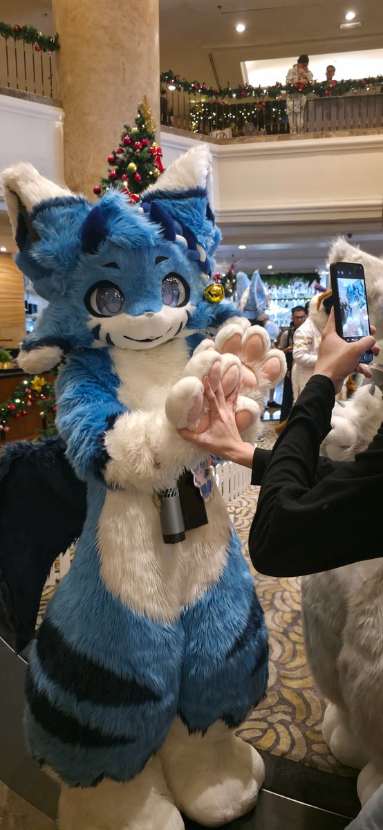 I am Pi ➡️ lifc2026 tweet media