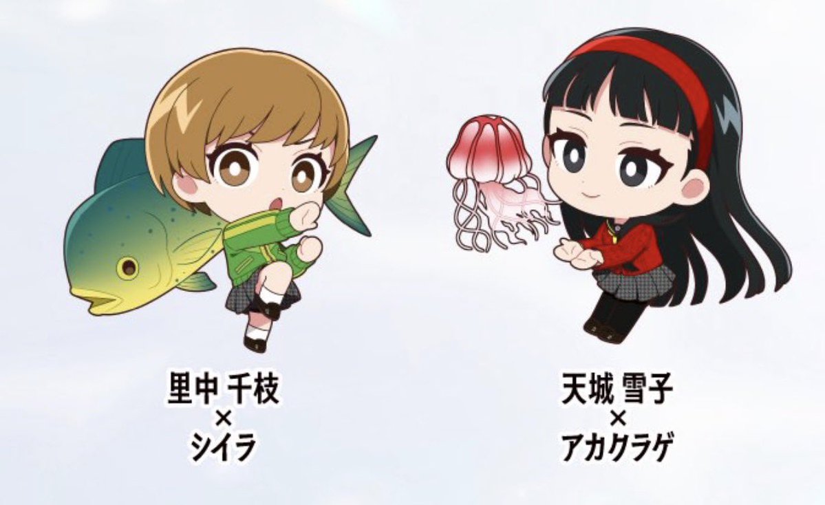 stef 🦭 tweet media