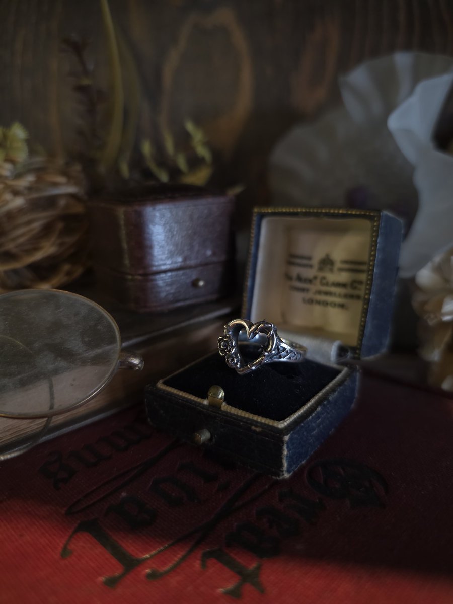 PARAGRAPH tweet media