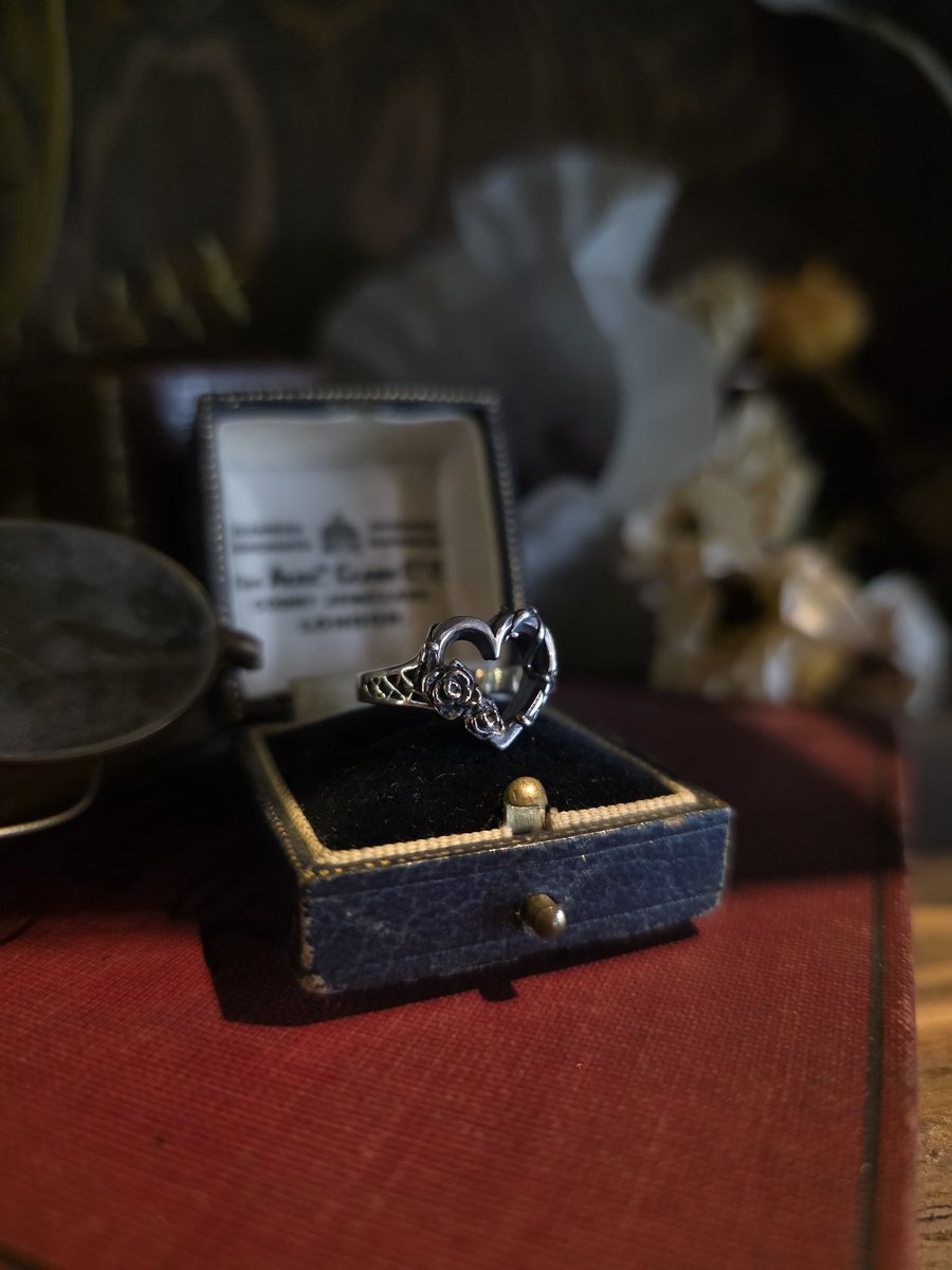 PARAGRAPH tweet media