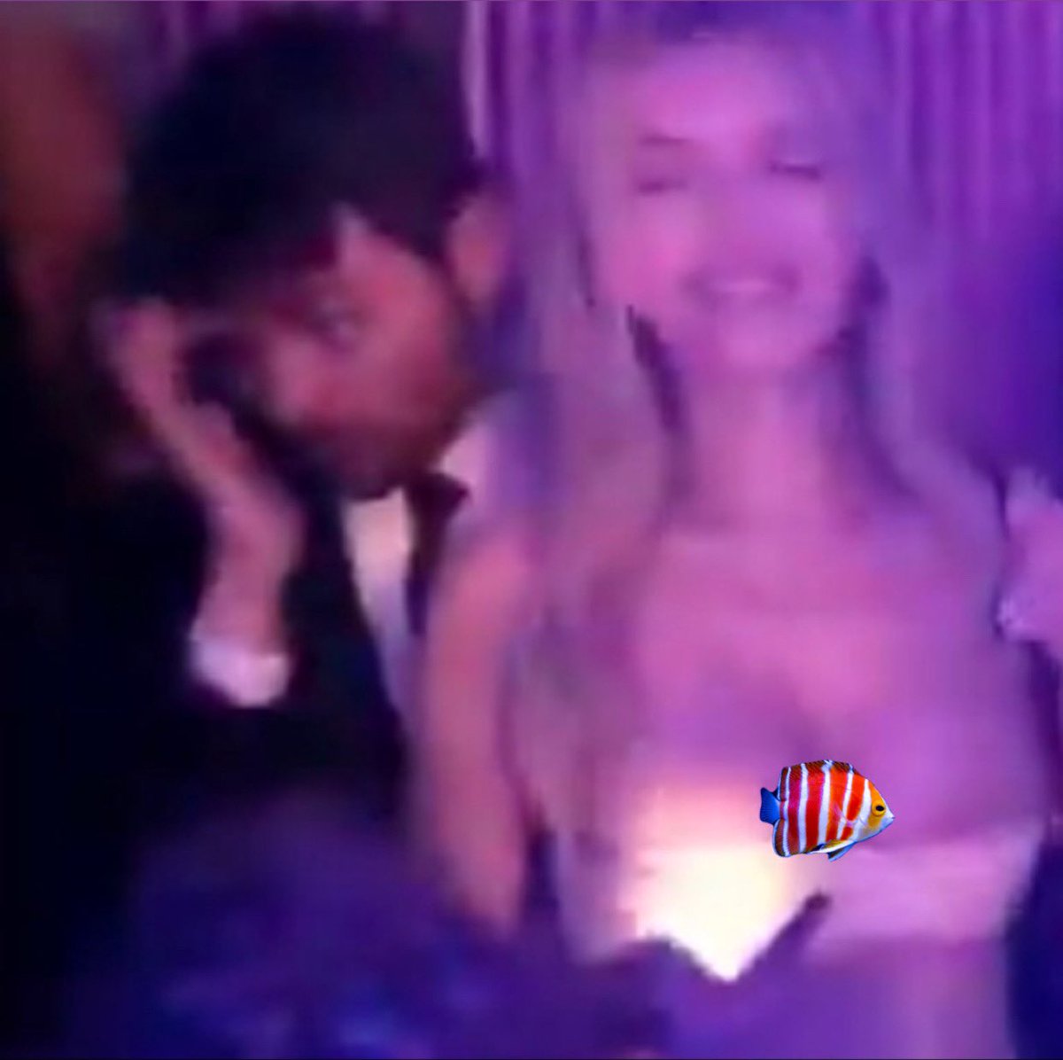 Fish_Groyper tweet media