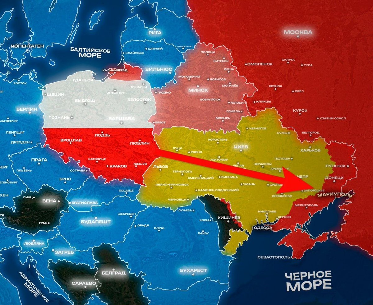 hulyneuley tweet media