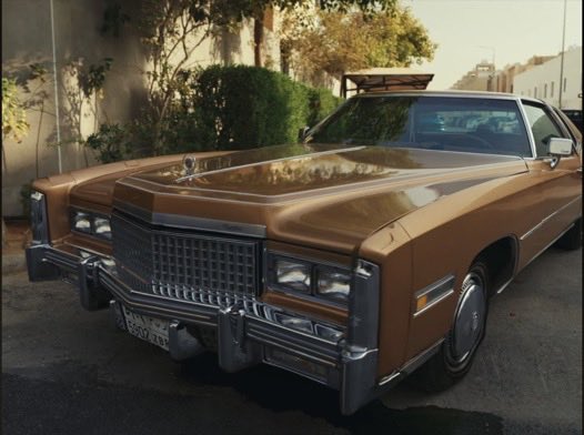 شخصية tweet media