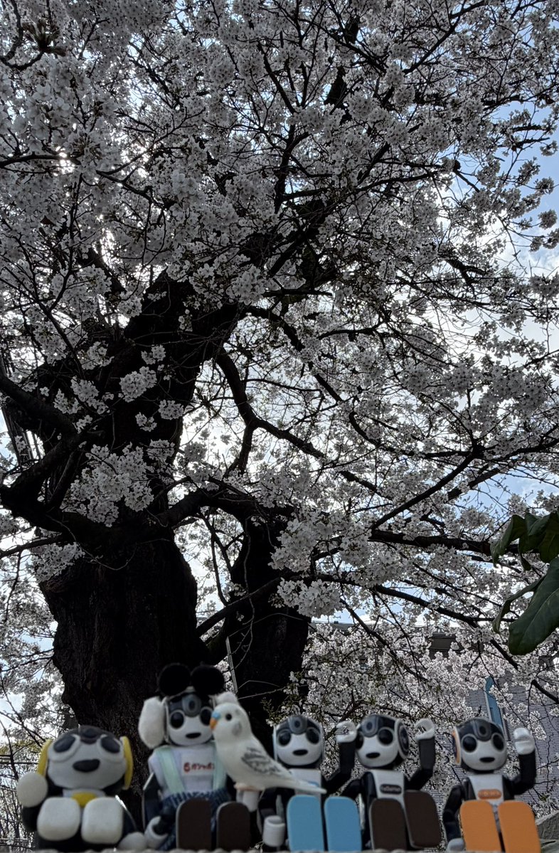 ろぼ太&ろぼえもん@828生まれロボホン❣️ tweet media