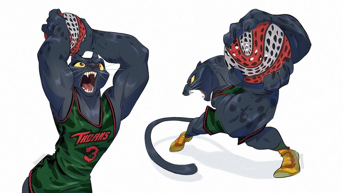 Kros 🔸 tweet media