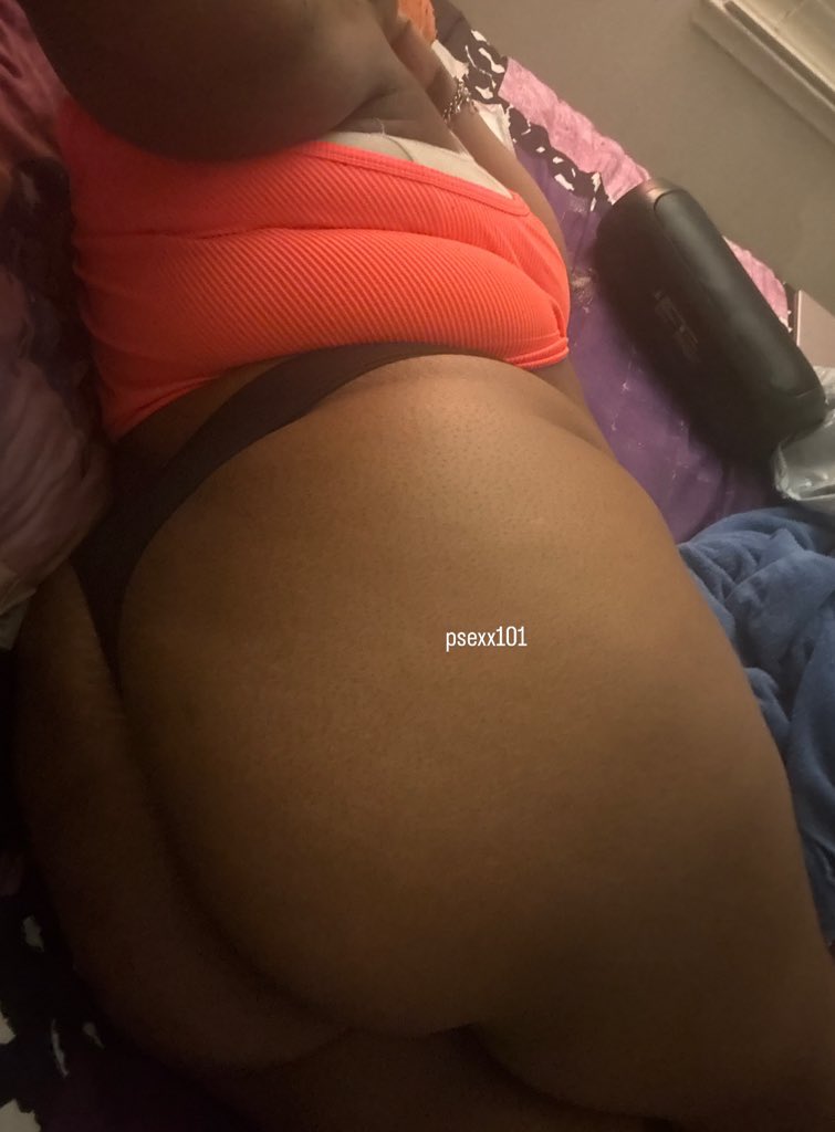 мιѕѕ ρѕєχ .. ᓚᘏᗢ tweet media