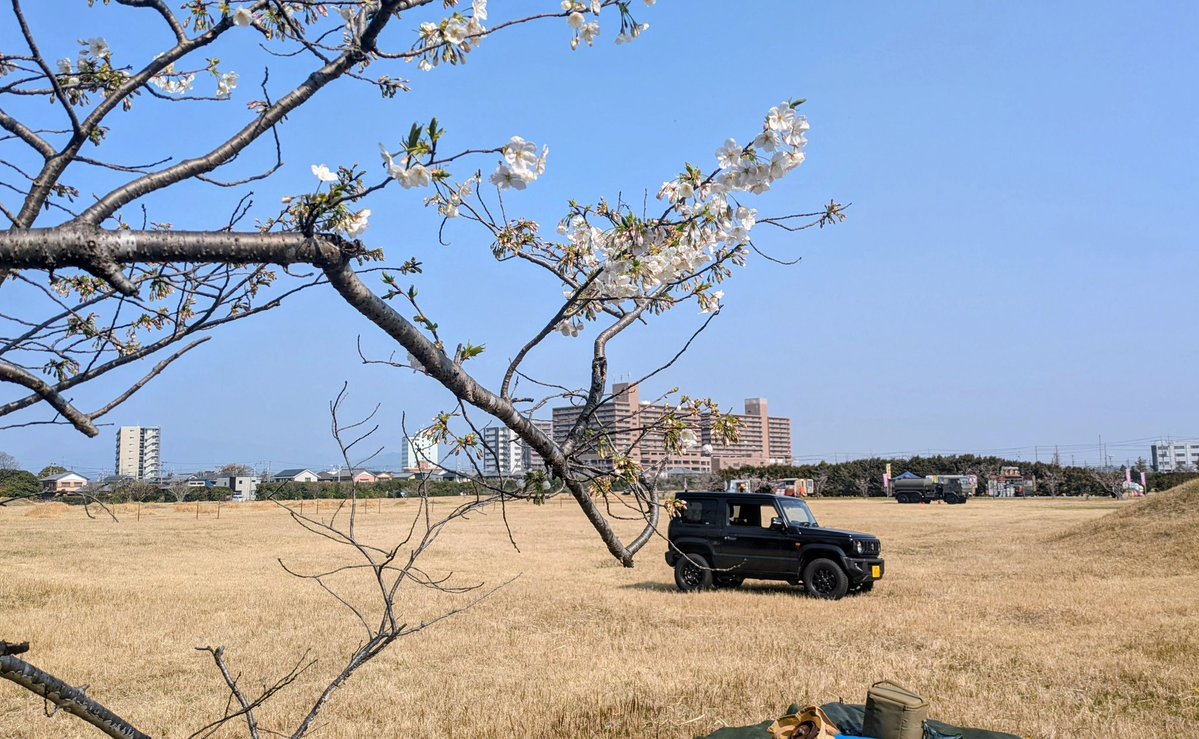 てべりん tweet media