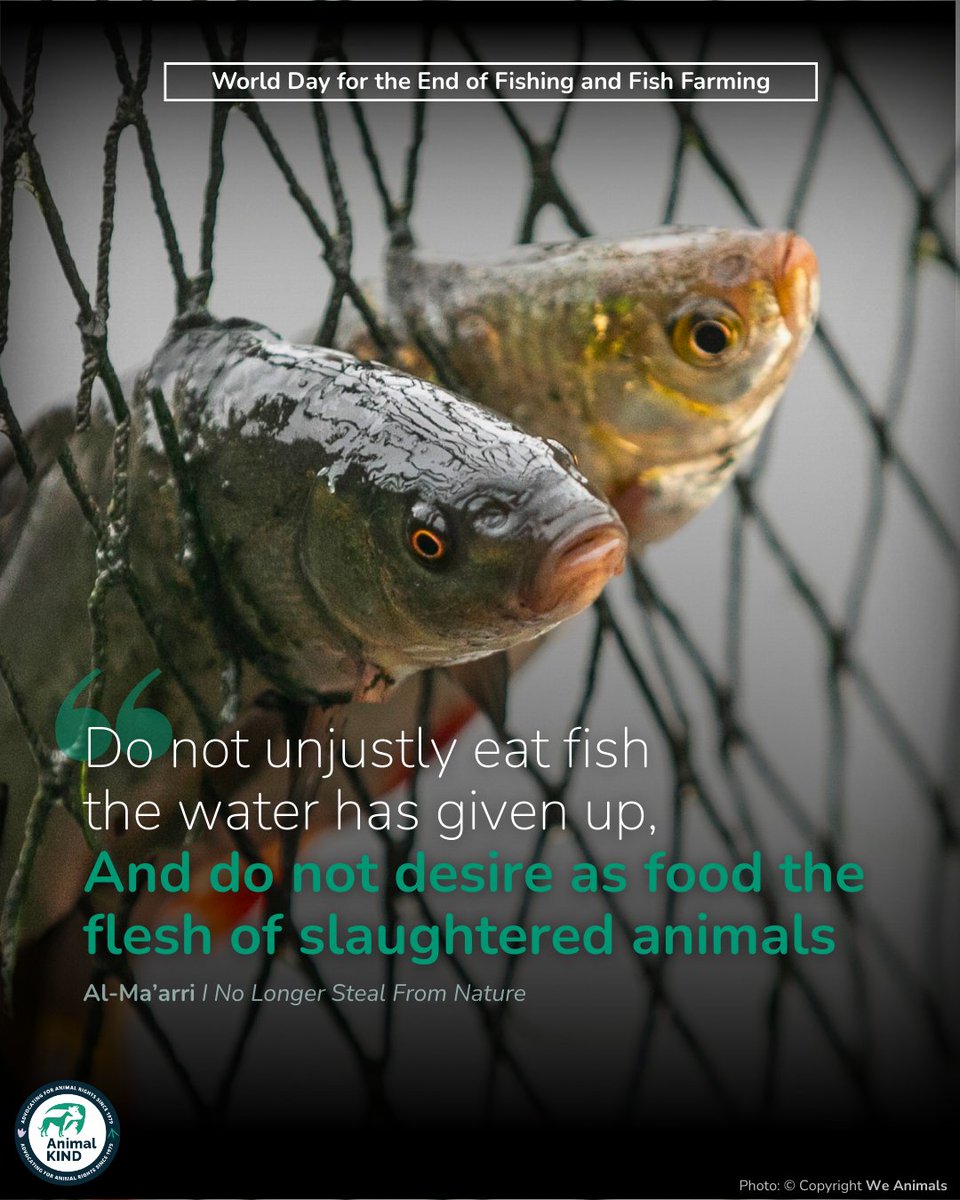 AnimalKIND tweet media