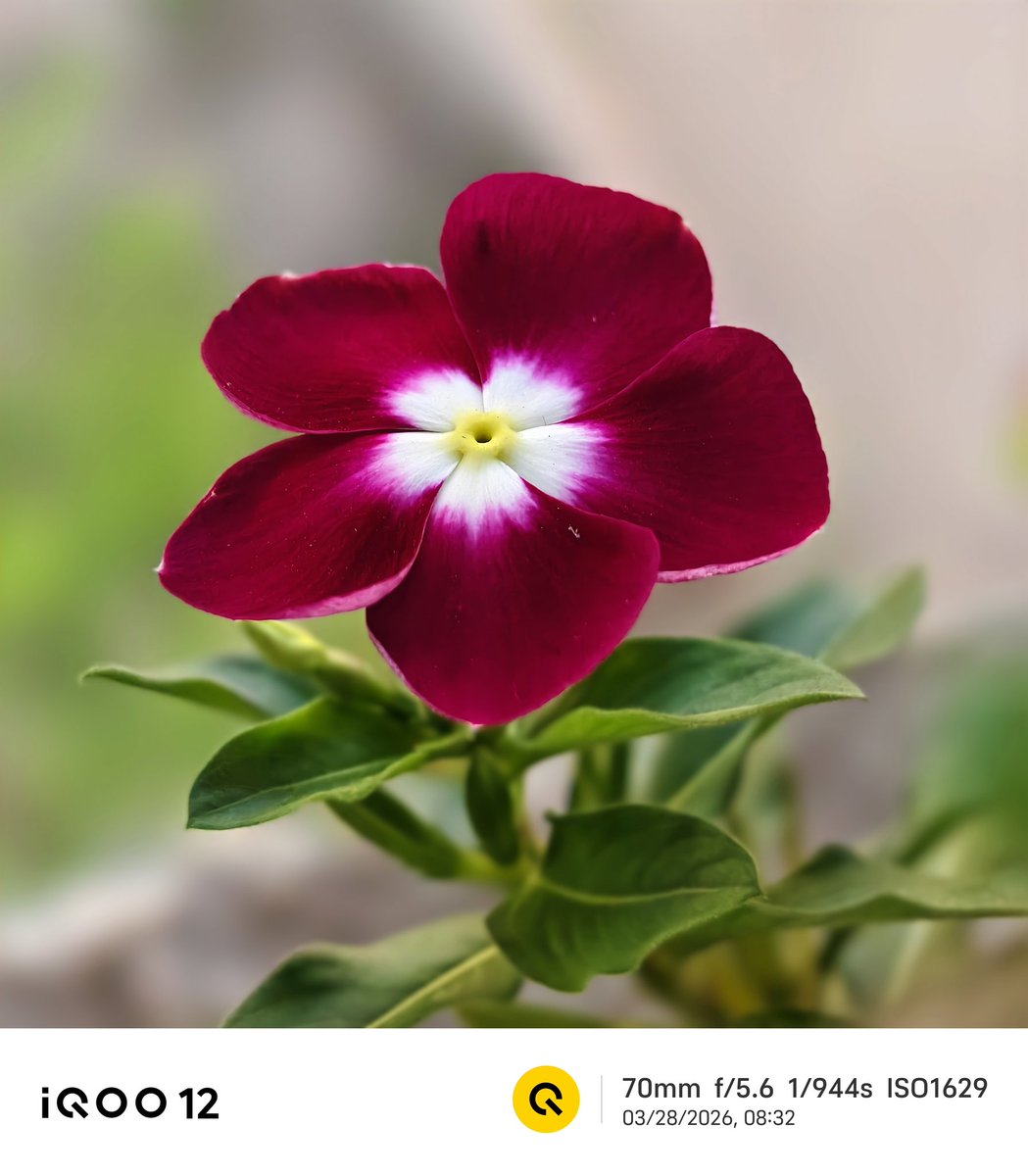 Andybitts tweet media