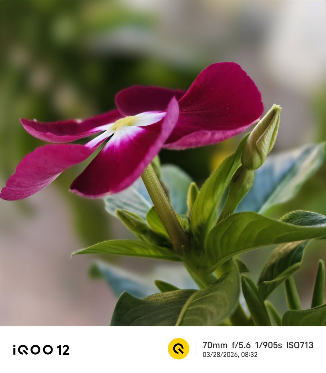 Andybitts tweet media