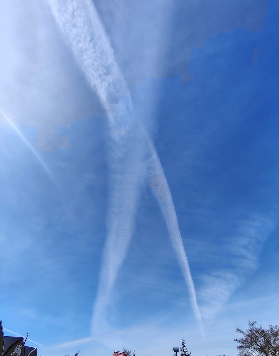 BCBarracuda tweet media