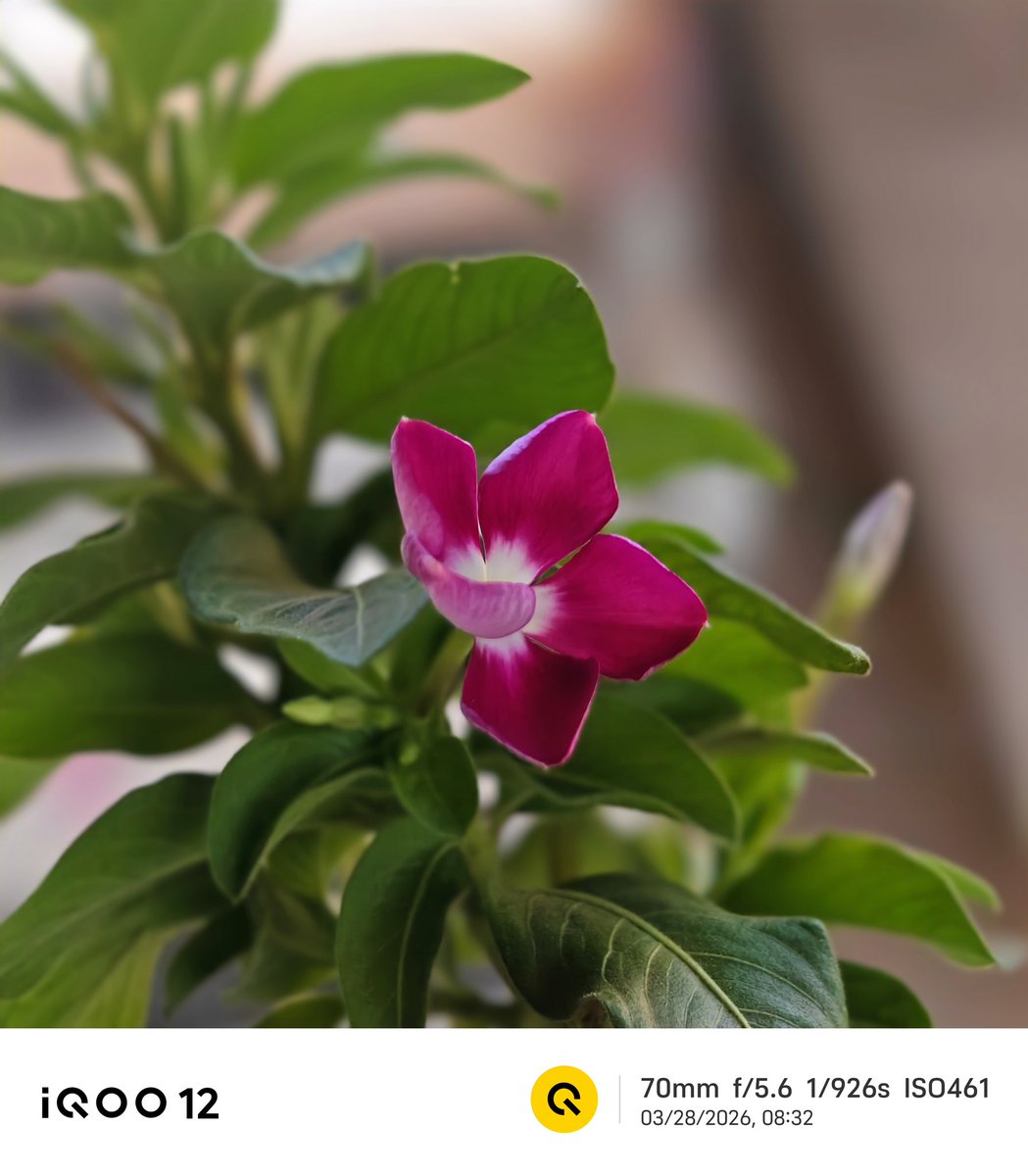 Andybitts tweet media