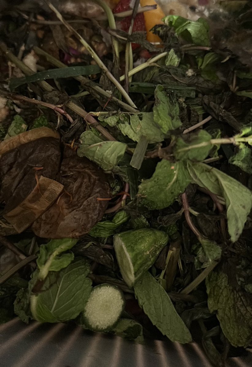 لطيفة ~ تعشق البحر❤️ tweet media