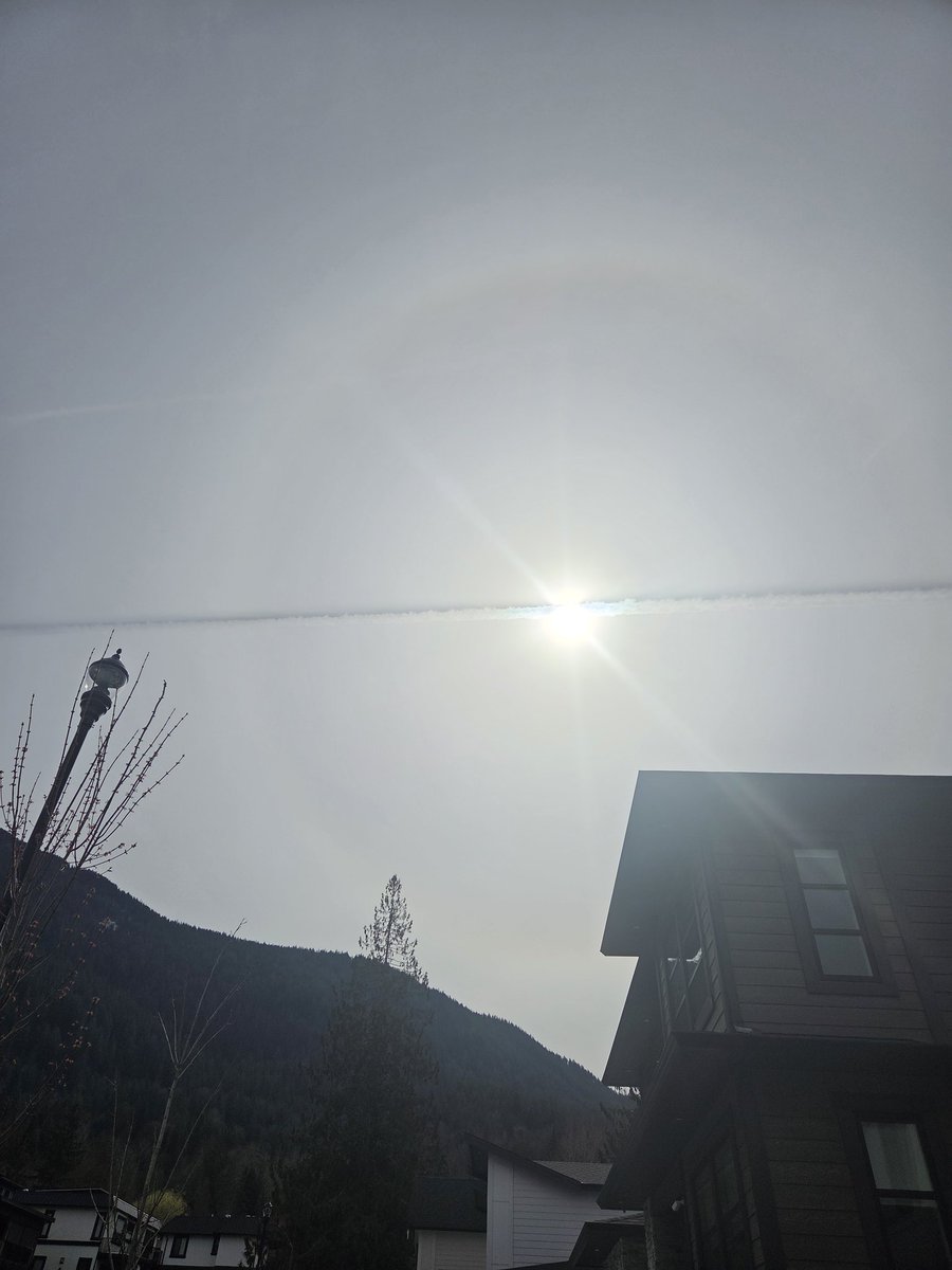 BCBarracuda tweet media