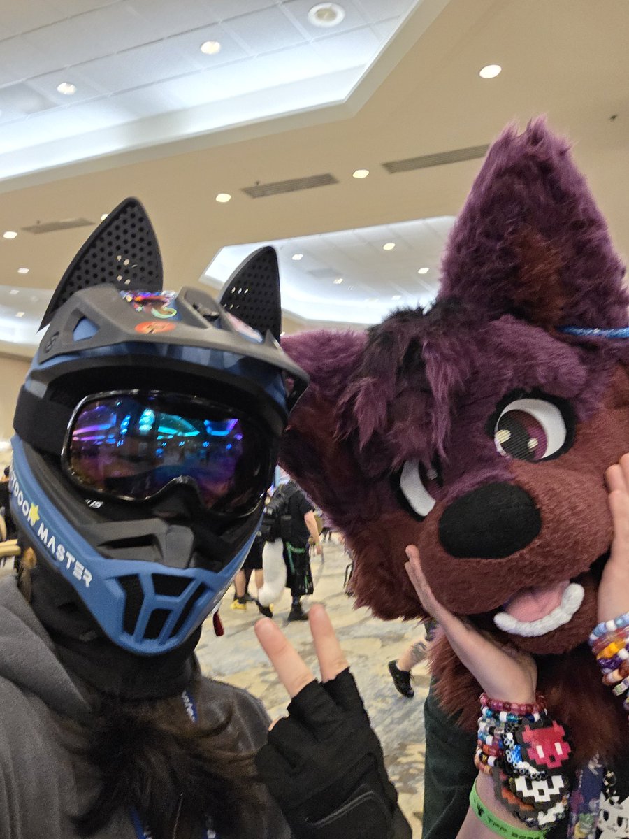 InkPaninz's tweet photo. Who lost their weird dog at #TFF smh,
@EggwuhGwuh https://t.co/G5uHJQbDVo