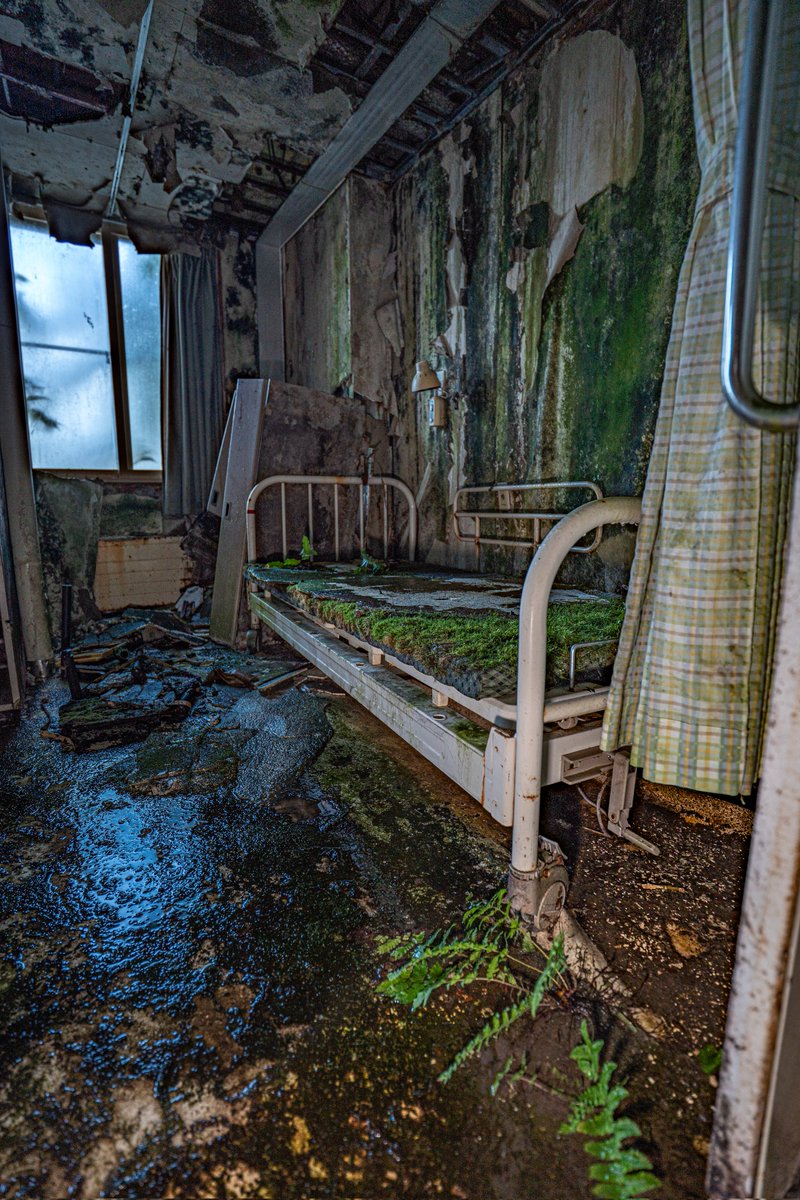 kou_urbex's tweet photo. 近畿の山奥に存在する有名な廃病院
何故かこの一室だけ腐敗していた… https://t.co/TcBMZ2tzFr