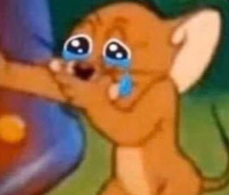 رورو tweet media