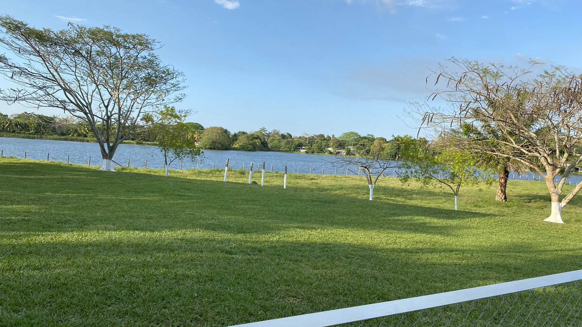 Pepe_pumas tweet media