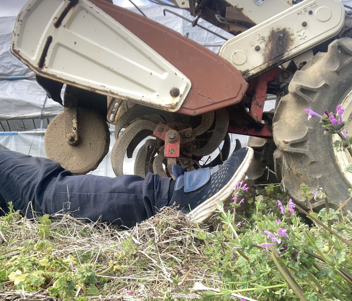 クレイジーアグリジャパン tweet media