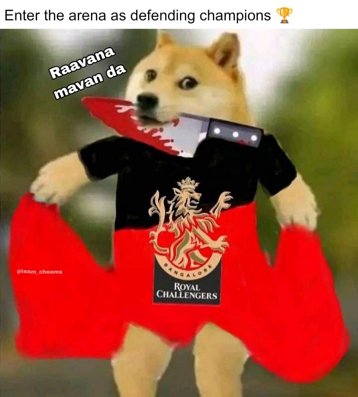 Team Cheems tweet media